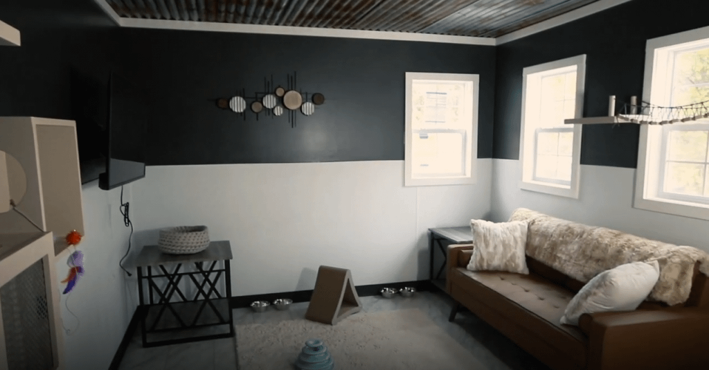 Lounging room with new drywall, cat play toys, a couch, and a cat skywalk on the wall. 